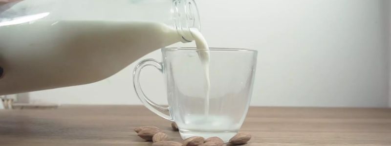 우유 하루 섭취량