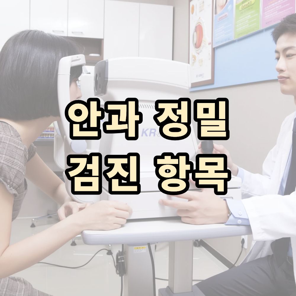 안과 정밀 검진 항목