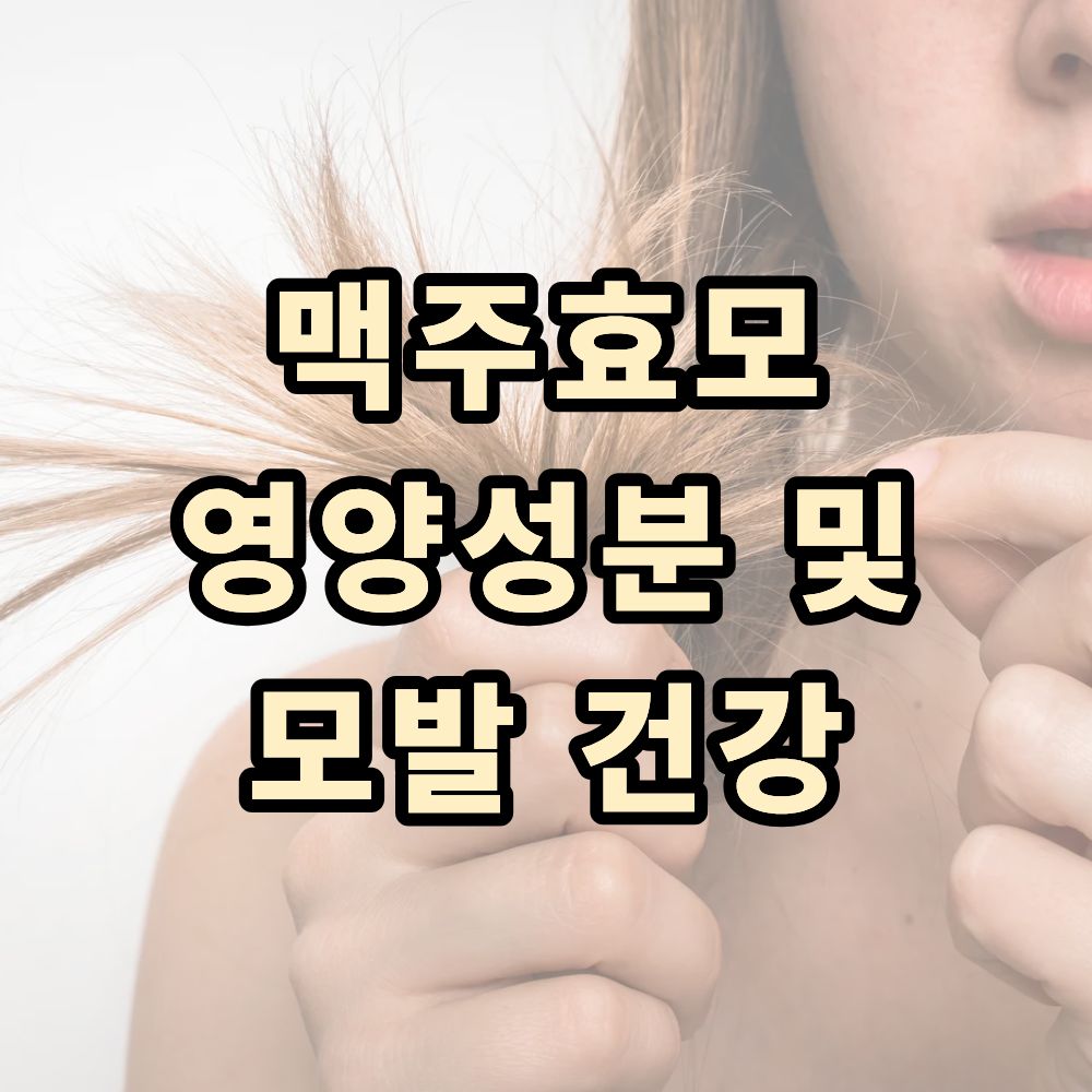 맥주효모 영양성분 및 모발 건강