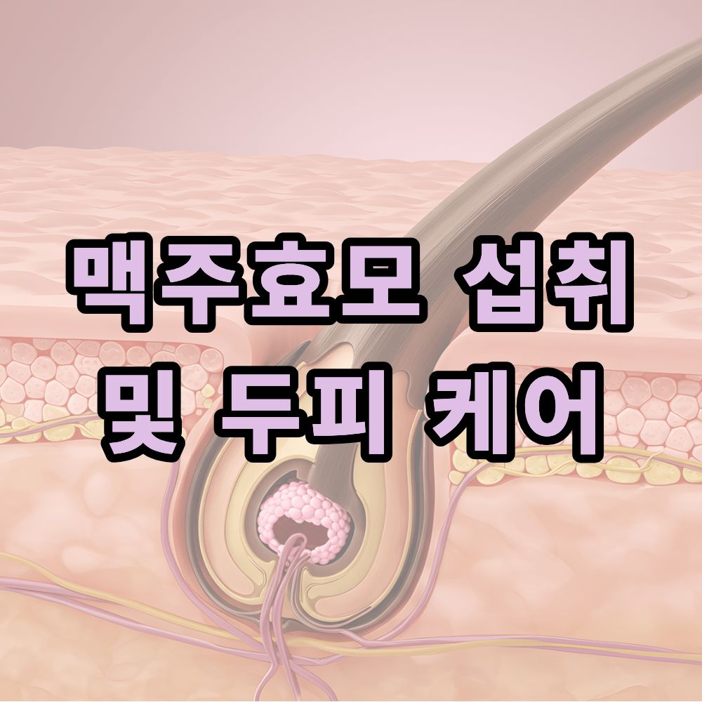 맥주효모 섭취 및 두피 케어
