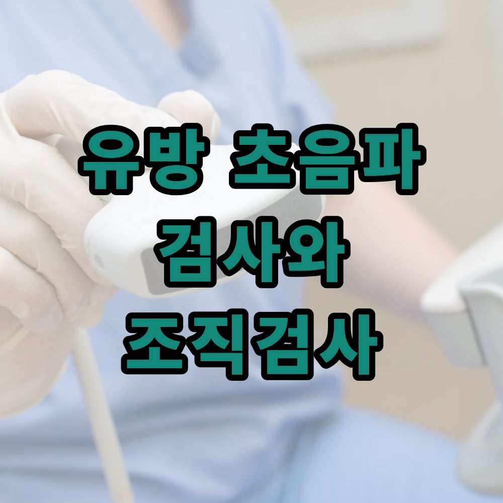 유방 초음파 검사와 조직검사